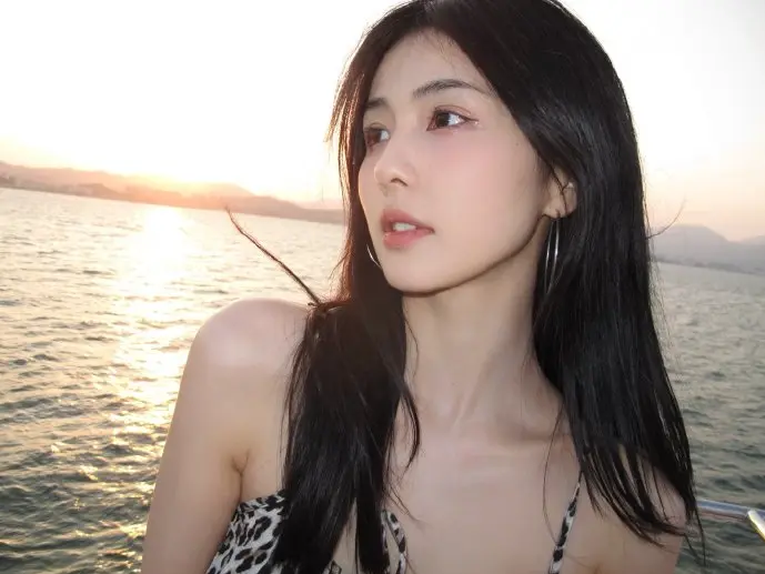 猫狗使用翻译器互动场景